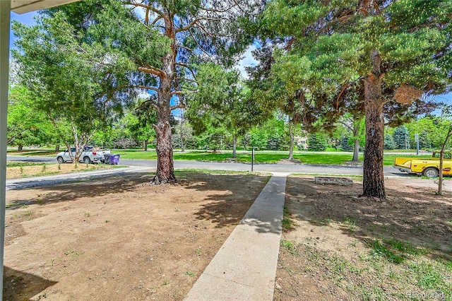 view of yard featuring view of scattered trees