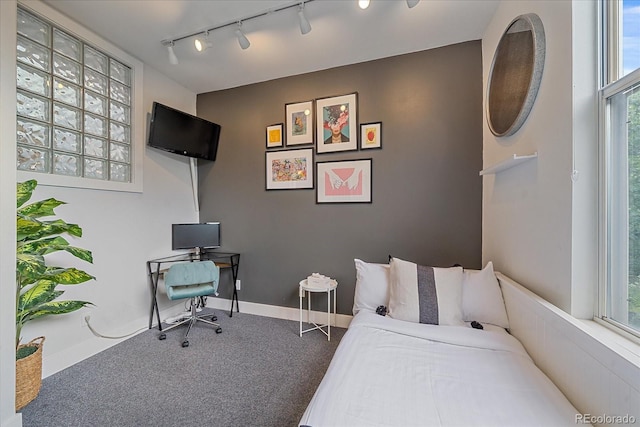 carpeted bedroom with rail lighting