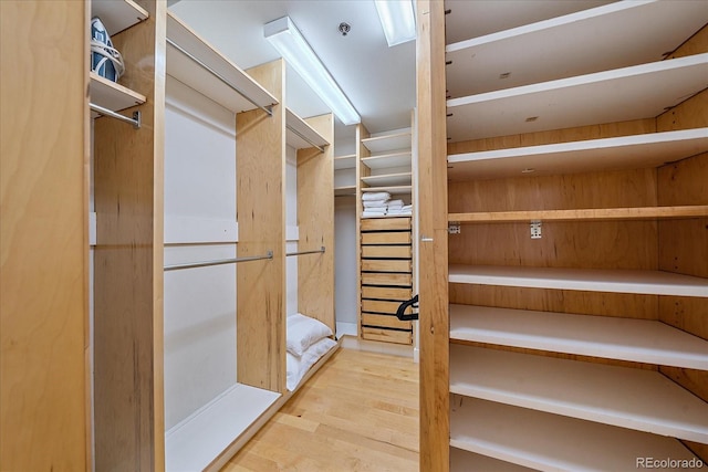 spacious closet with light wood-type flooring