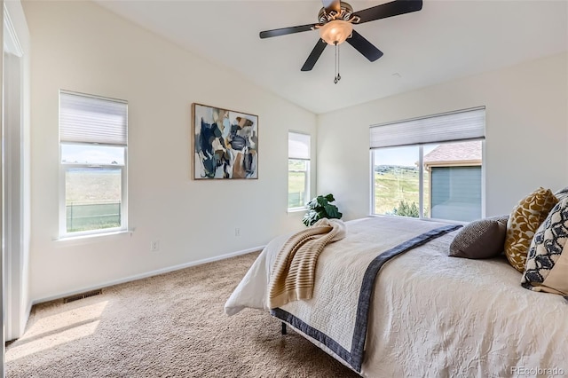 11089 Woodhurst Cir, Highlands Ranch, CO 80130 - photo 15