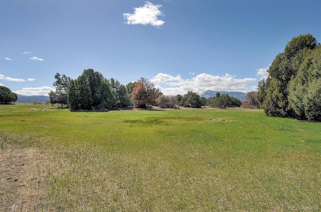 view of yard featuring a mountain view