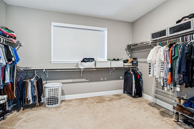 spacious closet featuring carpet flooring