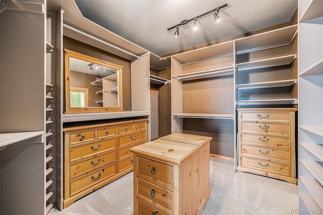 spacious closet with light colored carpet