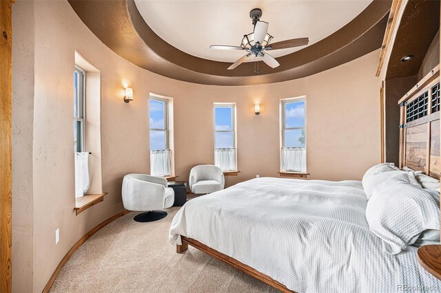 12555 Critchell Ln, Littleton, CO 80127 - photo 21