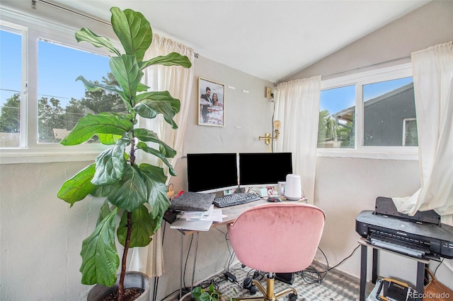 3764 N Raleigh St, Denver, CO 80212 - office with vaulted ceiling
