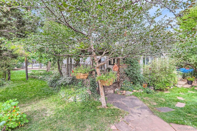 1580 Redwood Ave, Boulder, CO 80304 - view of green lawn