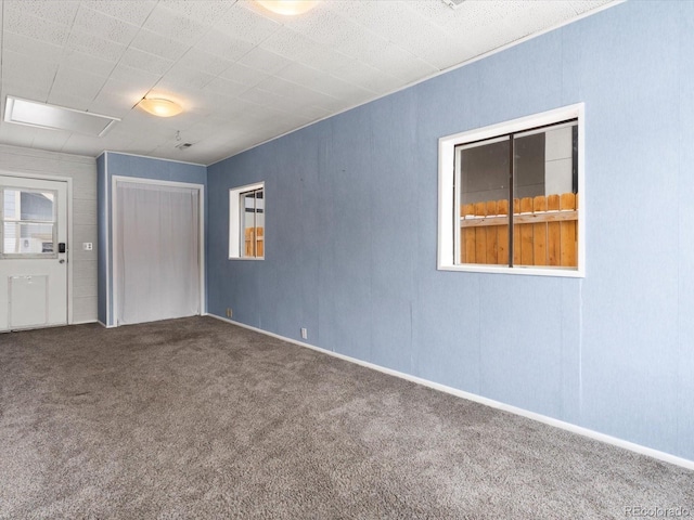 unfurnished bedroom featuring carpet flooring