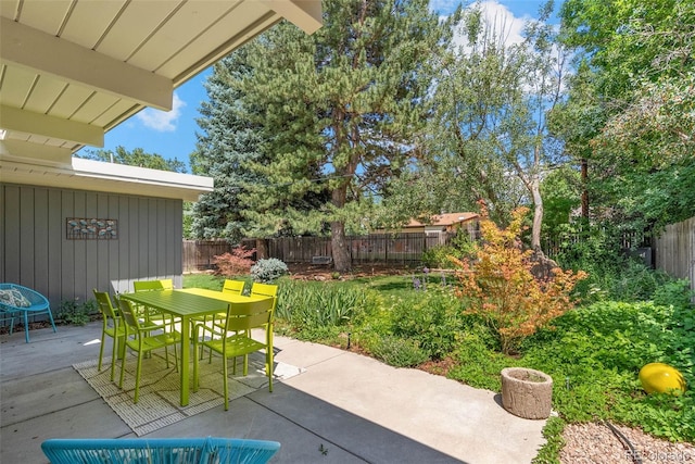1338 S Fairfax St, Denver, CO 80222 - fenced backyard featuring outdoor dining space and a patio area