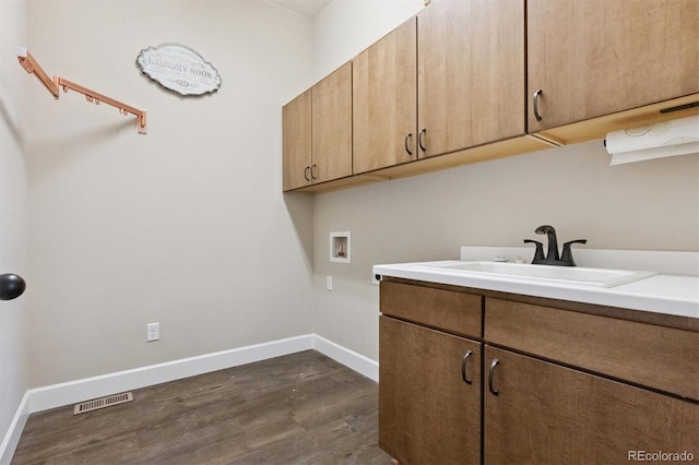 4099 River Oaks St, Castle Rock, CO 80104 - photo 17