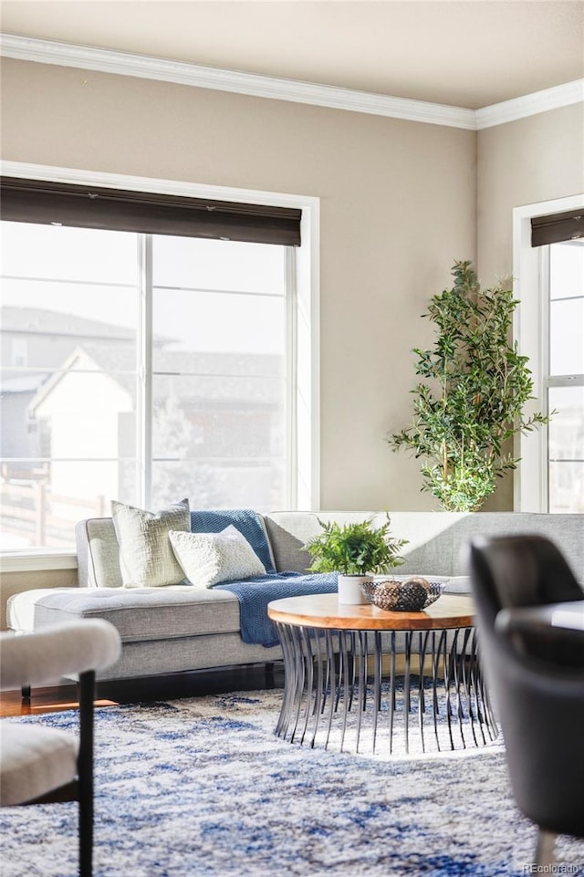 living room with crown molding