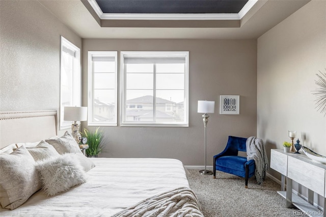 carpeted bedroom featuring crown molding and a raised ceiling