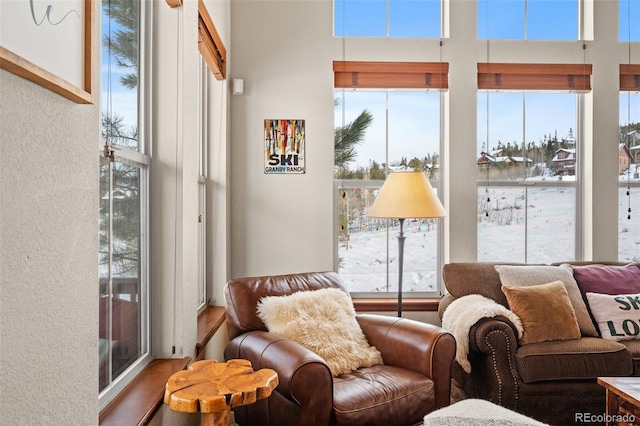 interior space featuring hardwood / wood-style flooring and a high ceiling