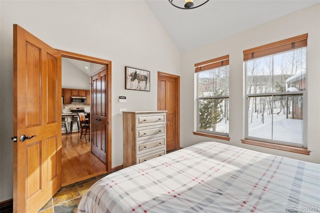 112 Deer Track Ct, Granby, CO 80446 - bedroom featuring high vaulted ceiling
