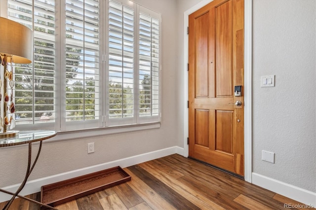 foyer entrance with a healthy amount of sunlight and hardwood / wood-style flooring