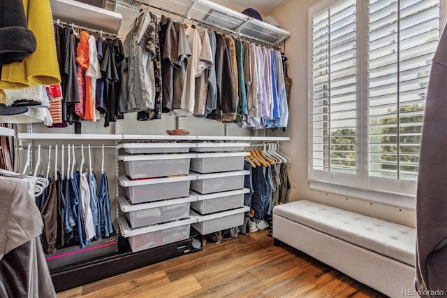 walk in closet with wood-type flooring