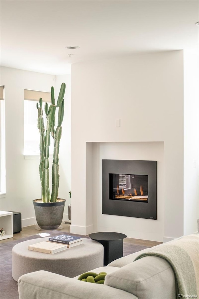 living room featuring a glass covered fireplace, plenty of natural light, and wood finished floors