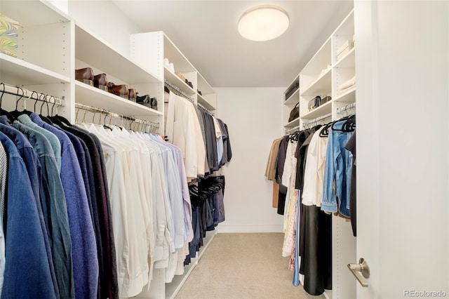 spacious closet featuring light colored carpet