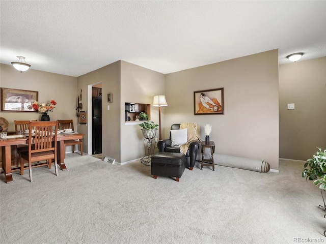 living area with carpet, baseboards, and a textured ceiling