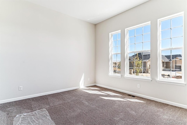 spare room featuring carpet floors