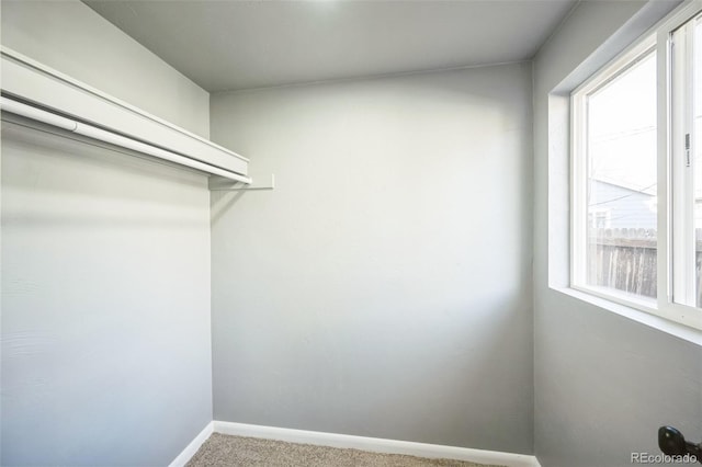 walk in closet featuring carpet flooring