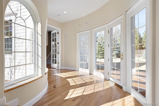 doorway featuring plenty of natural light and wood finished floors