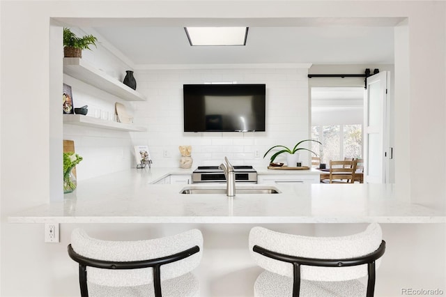 kitchen with a sink, light stone counters, and tasteful backsplash