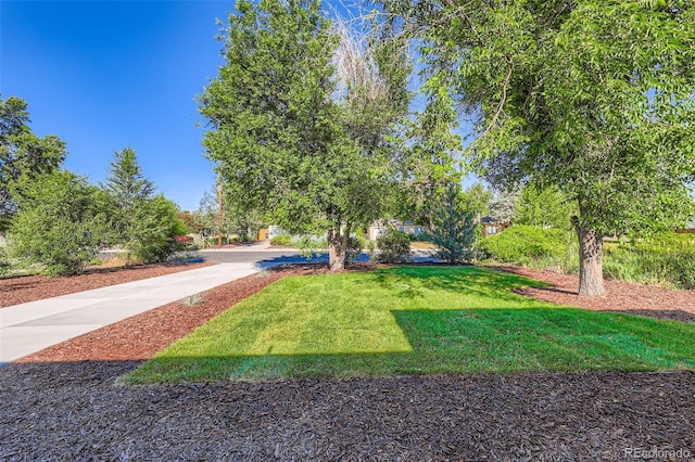 2540 Poplar St, Denver, CO 80207 - photo 29