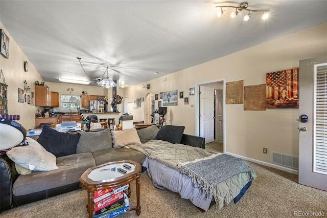 5720 County Road 64 # A102, Bailey, CO 80421 - living room featuring carpet flooring