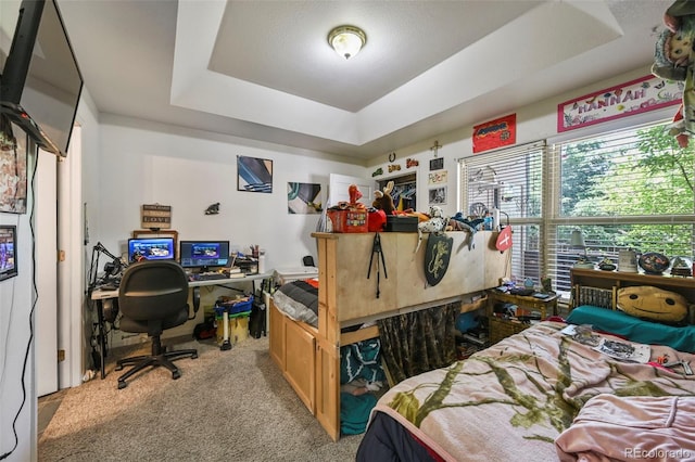 5720 County Road 64 # A102, Bailey, CO 80421 - bedroom featuring a raised ceiling, light colored carpet, and a desk