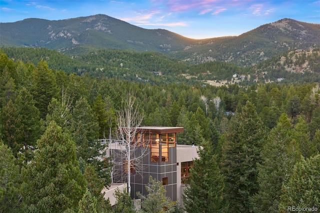 33080 Woodland Dr, Evergreen, CO 80439 - photo 48