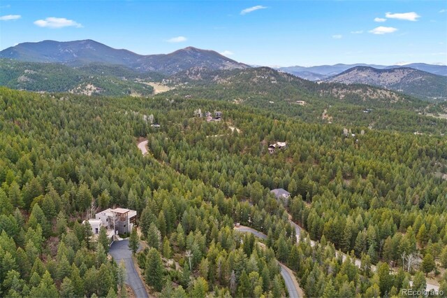 33080 Woodland Dr, Evergreen, CO 80439 - photo 49