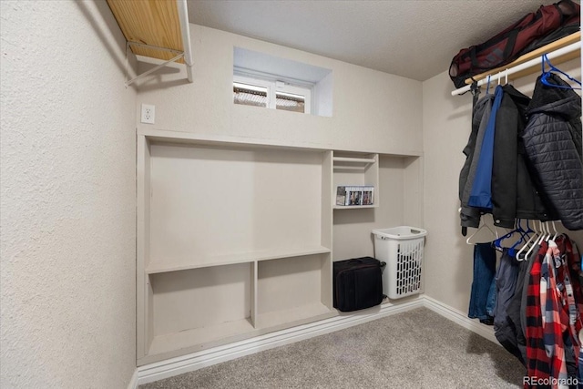 2121 Carmel Dr, Colorado Springs, CO 80910 - walk in closet featuring carpet