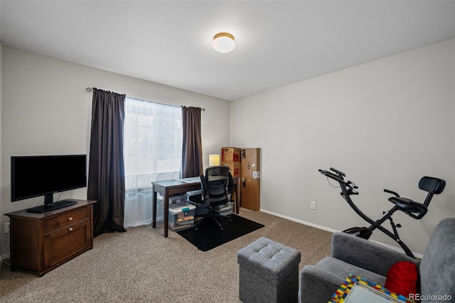 6615 Annanhill Pl, Colorado Springs, CO 80922 - office featuring light colored carpet