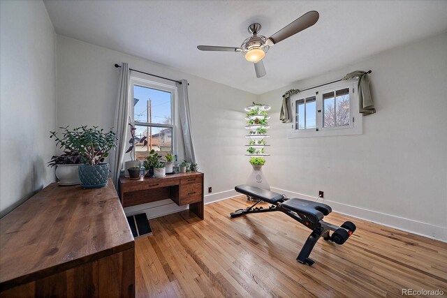 exercise room with a ceiling fan, baseboards, light wood-style flooring, and plenty of natural light
