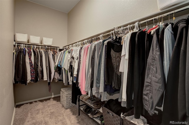 walk in closet featuring carpet flooring