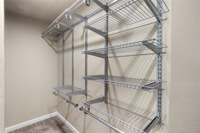 5200 Lynn Meadows Dr, Pueblo, CO 81005 - photo 35