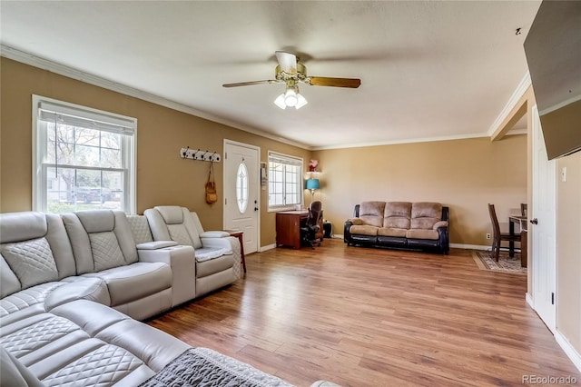 1881 E 95th Ave, Thornton, CO 80229 - living room featuring a ceiling fan, ornamental molding, a wealth of natural light, and light wood-type flooring