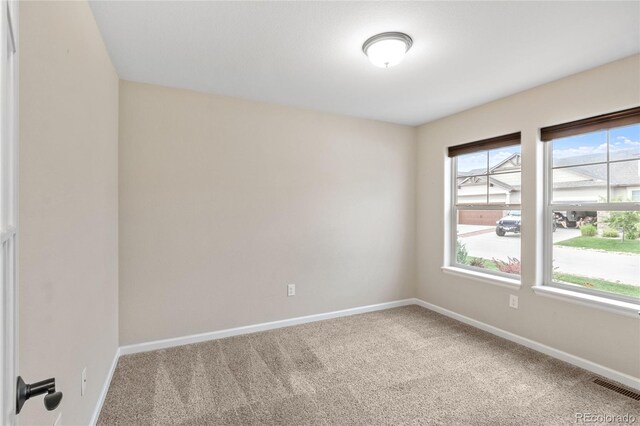 11407 Rill Pt, Colorado Springs, CO 80921 - photo 8