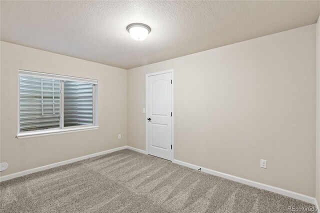 11407 Rill Pt, Colorado Springs, CO 80921 - photo 13