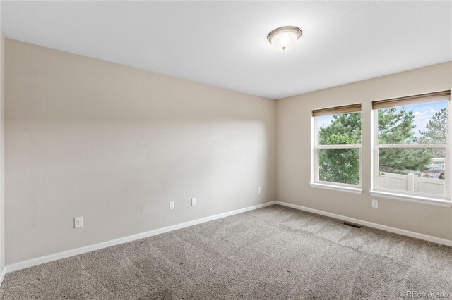 11407 Rill Pt, Colorado Springs, CO 80921 - photo 17