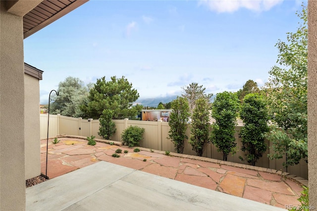 11407 Rill Pt, Colorado Springs, CO 80921 - photo 19