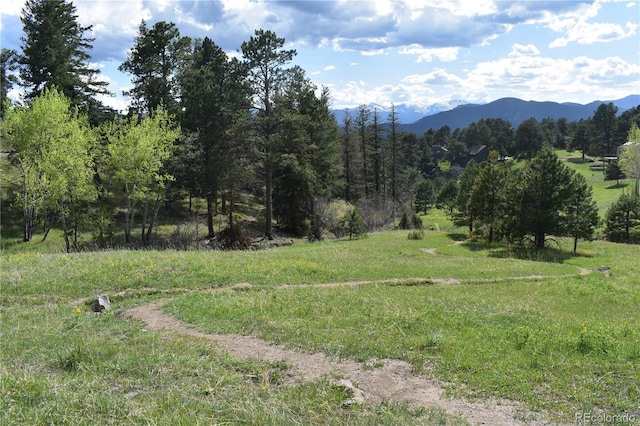 view of yard with a mountain view