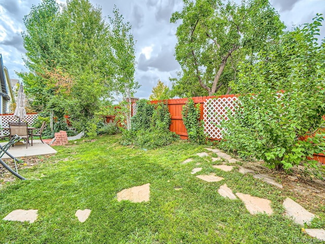 view of yard with a patio area