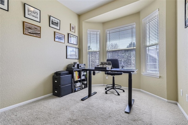 office space featuring carpet flooring