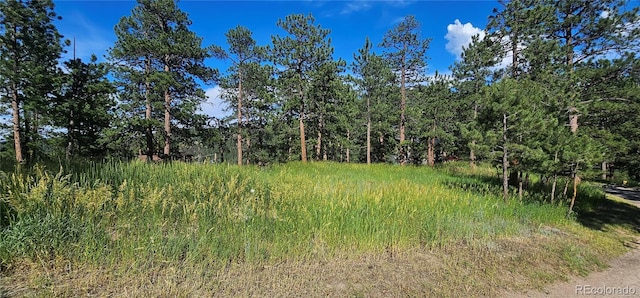 27901 Pine Dr, Evergreen, CO 80439 - view of woods