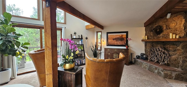 27901 Pine Dr, Evergreen, CO 80439 - living area with carpet floors, beamed ceiling, a fireplace, and radiator heating unit