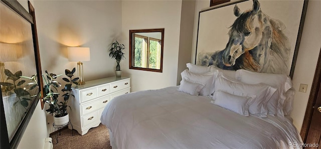 27901 Pine Dr, Evergreen, CO 80439 - bedroom with carpet and a baseboard radiator