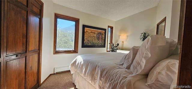 27901 Pine Dr, Evergreen, CO 80439 - carpeted bedroom featuring baseboard heating and a textured ceiling