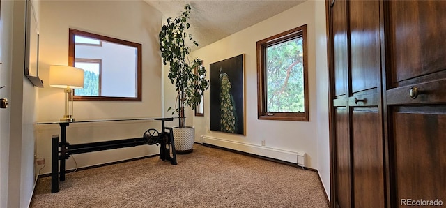 27901 Pine Dr, Evergreen, CO 80439 - entryway with a baseboard heating unit, carpet, and a textured ceiling