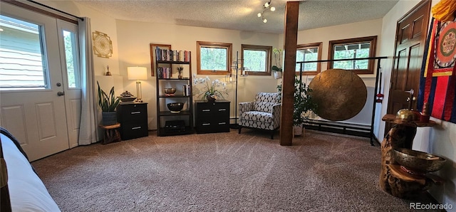 27901 Pine Dr, Evergreen, CO 80439 - carpeted entryway featuring plenty of natural light and a textured ceiling